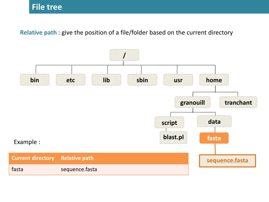 file tree 4