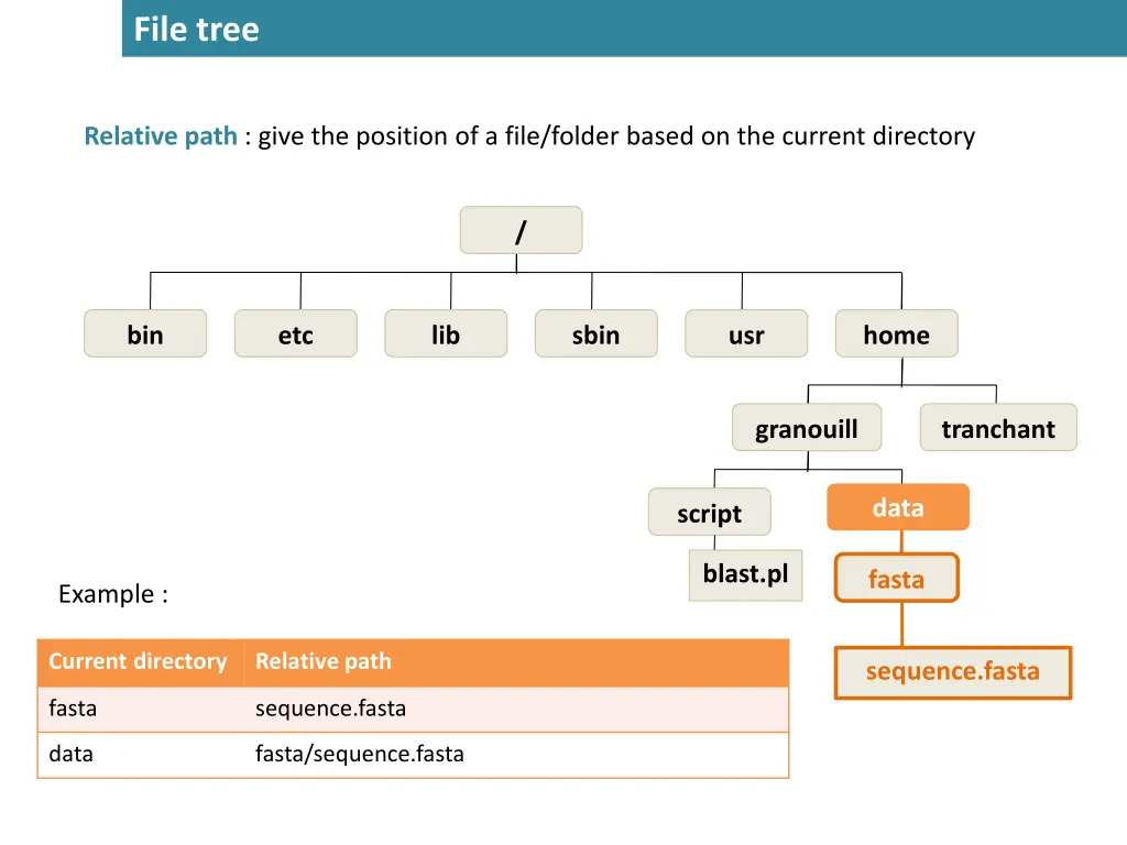 file tree 5