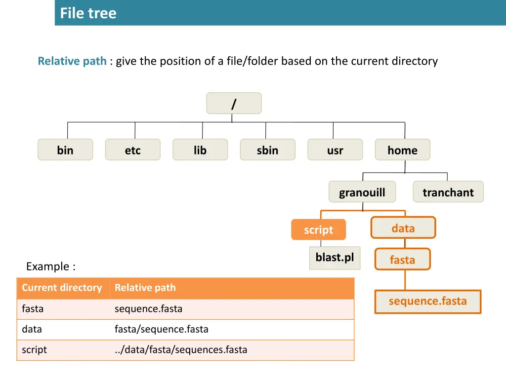 file tree 6