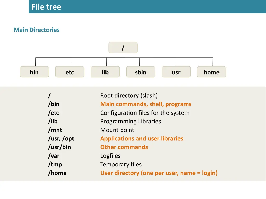 file tree