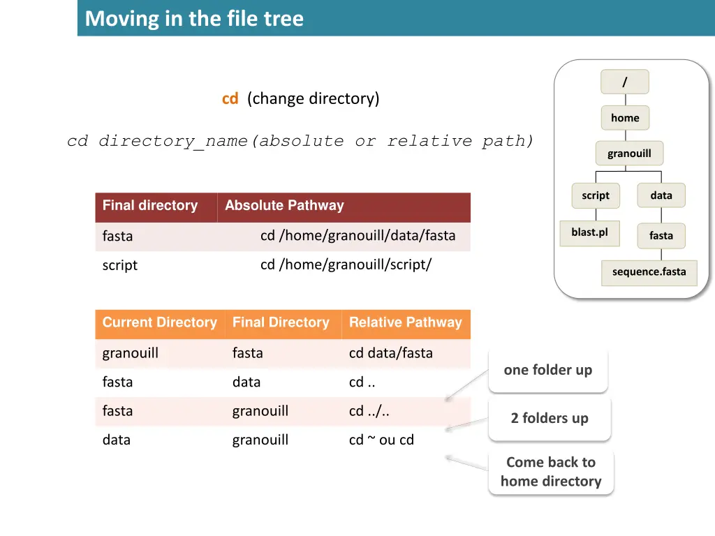 moving in the file tree