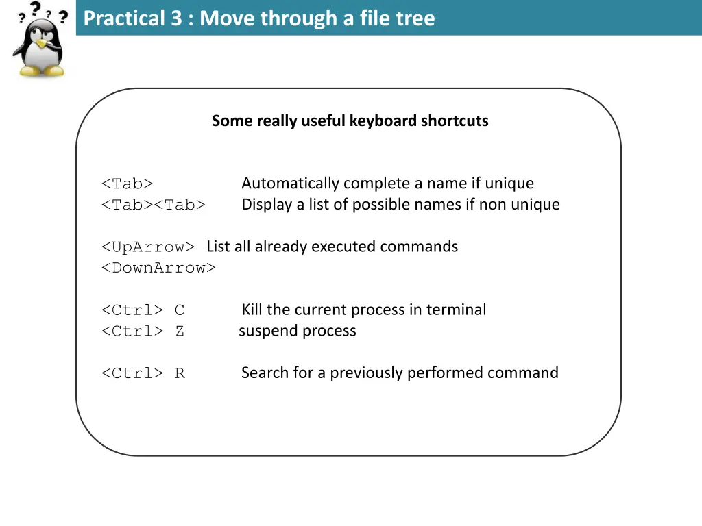 practical 3 move through a file tree 1