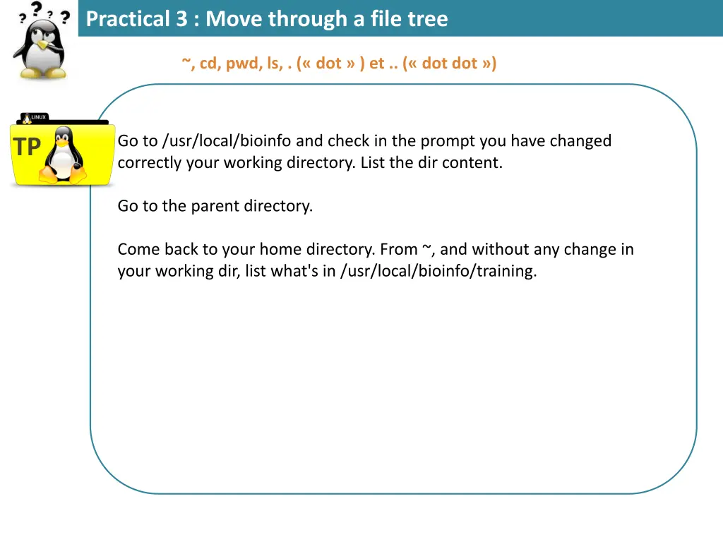 practical 3 move through a file tree 2