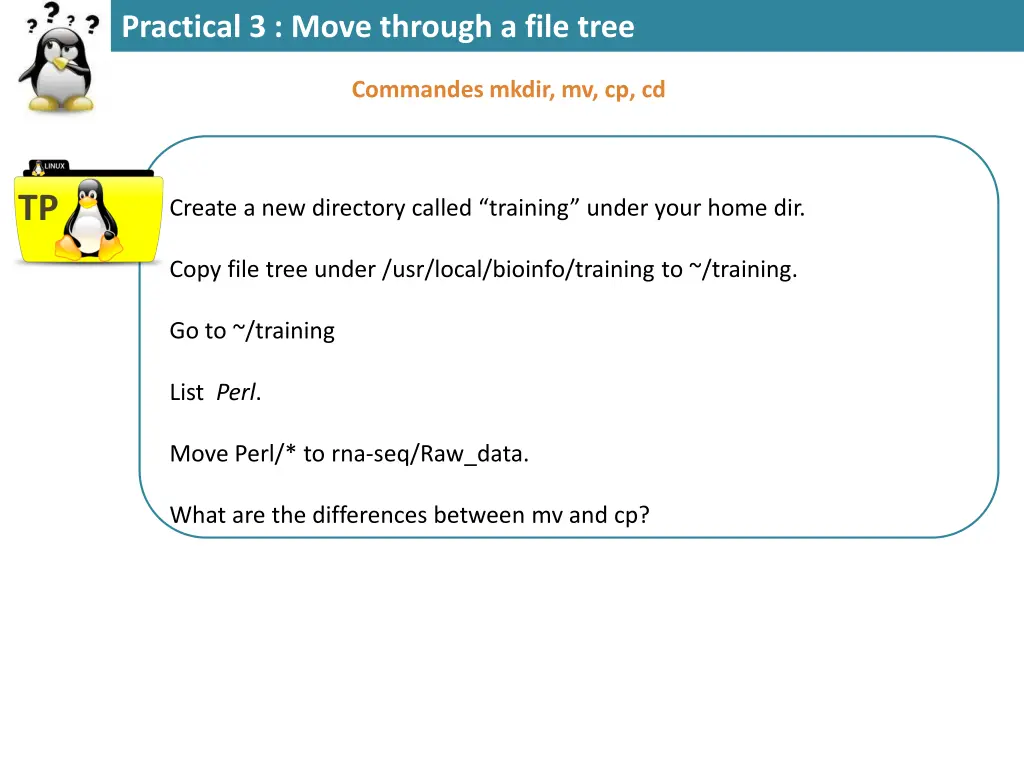 practical 3 move through a file tree 3