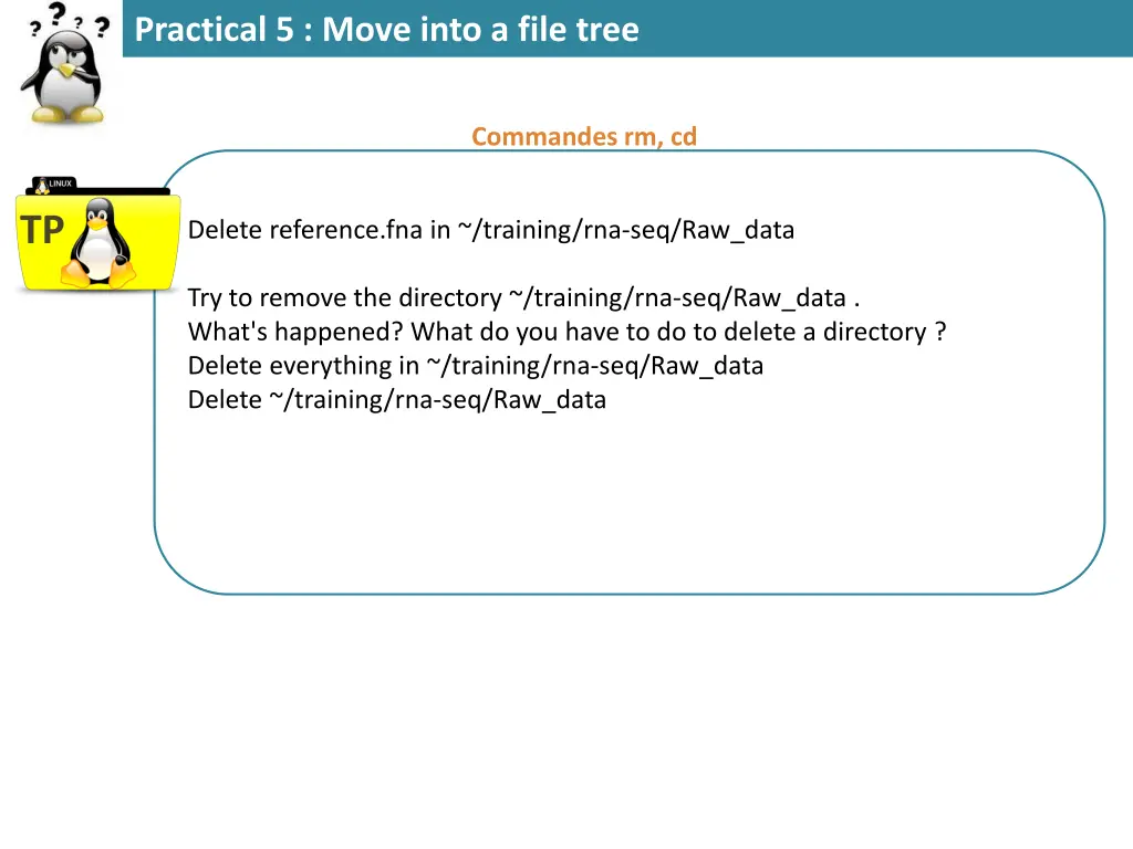 practical 5 move into a file tree 1