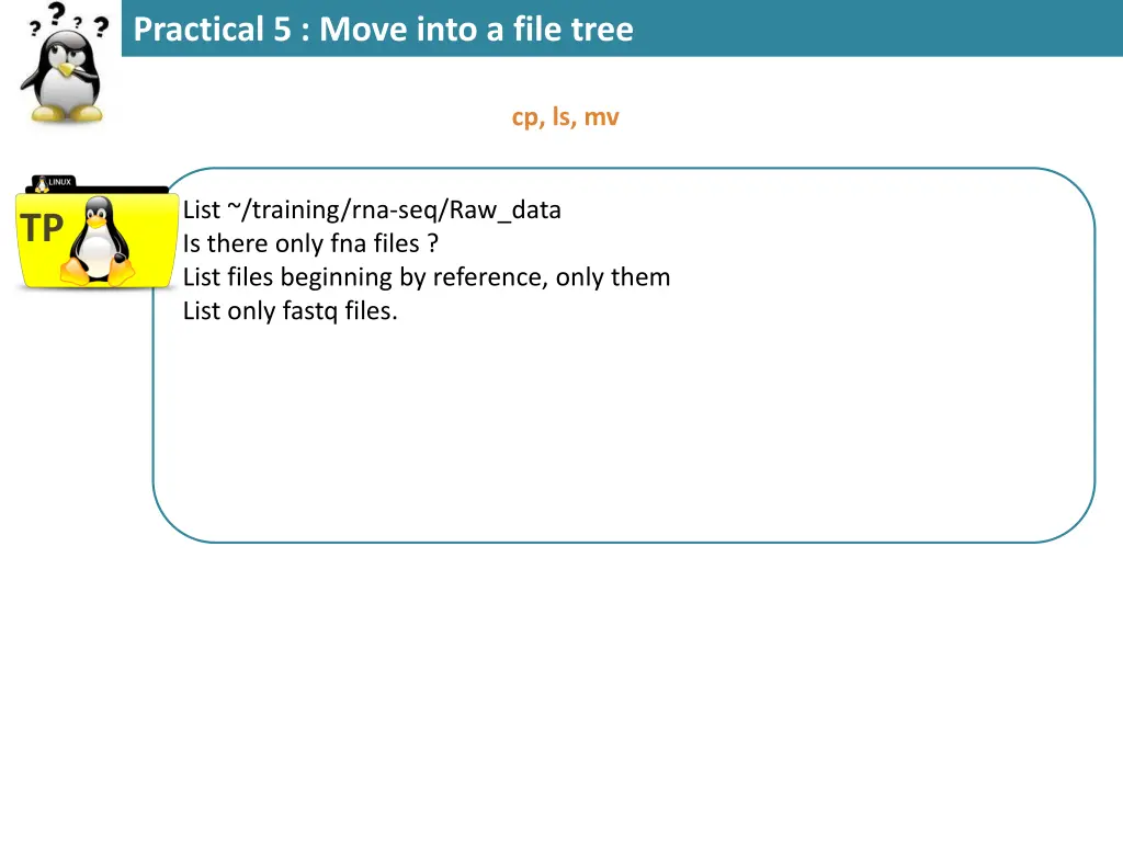 practical 5 move into a file tree