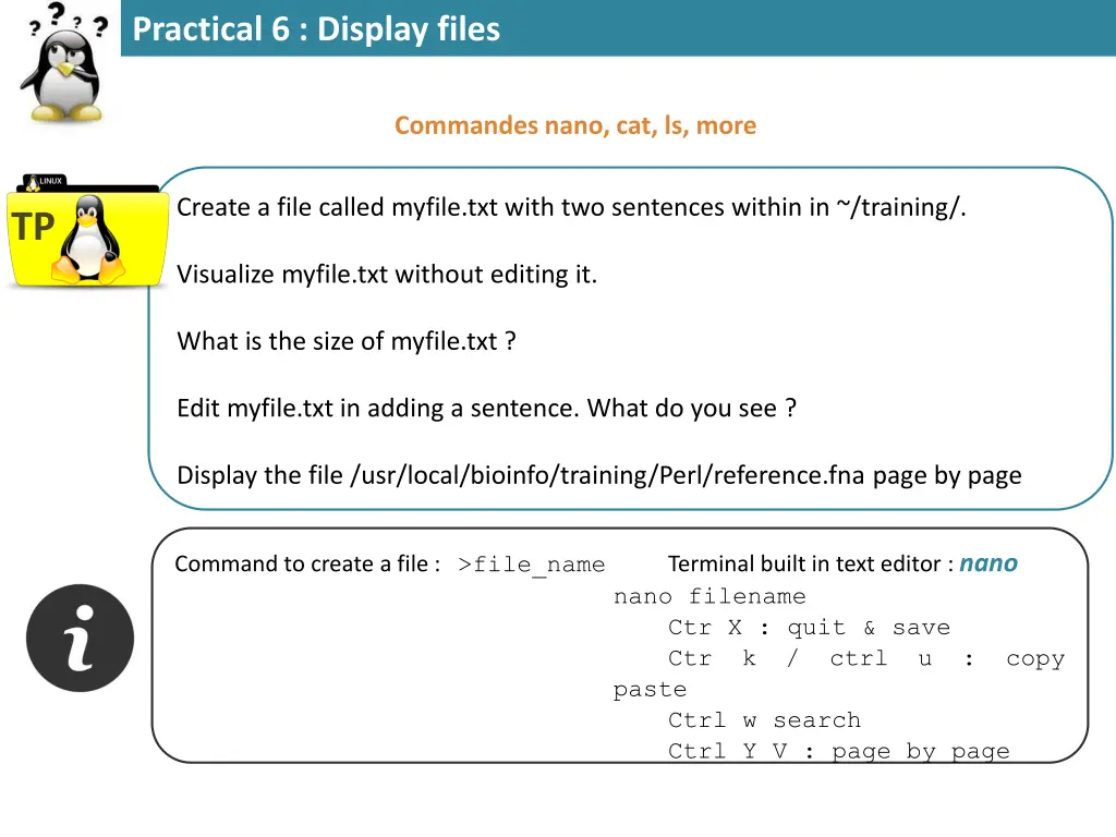 practical 6 display files