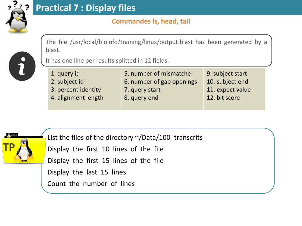 practical 7 display files