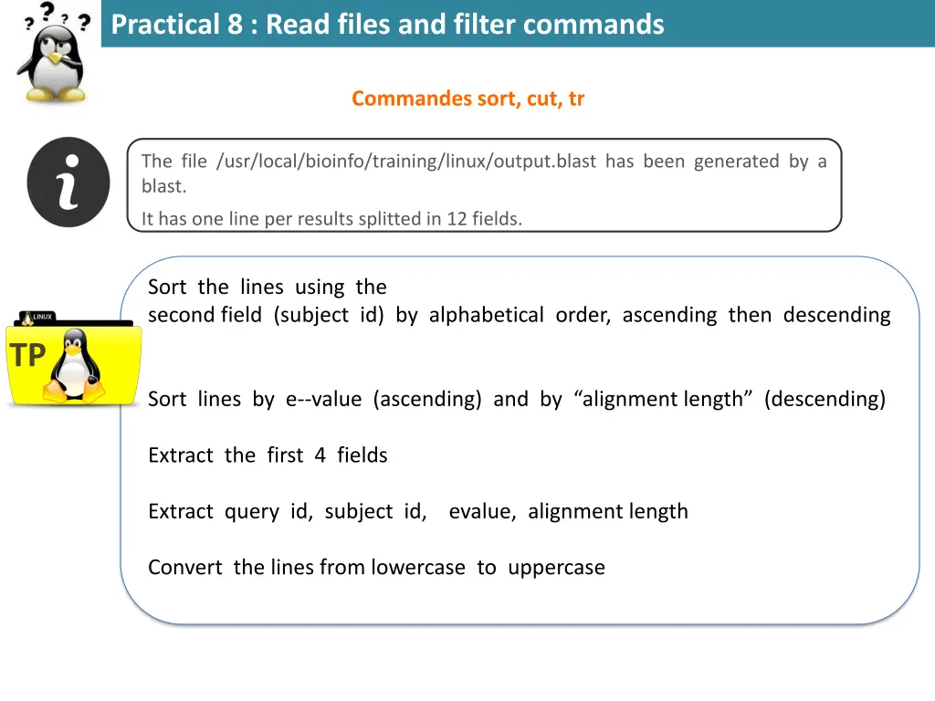 practical 8 read files and filter commands