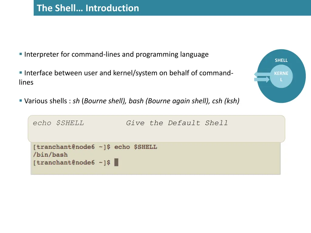 the shell introduction