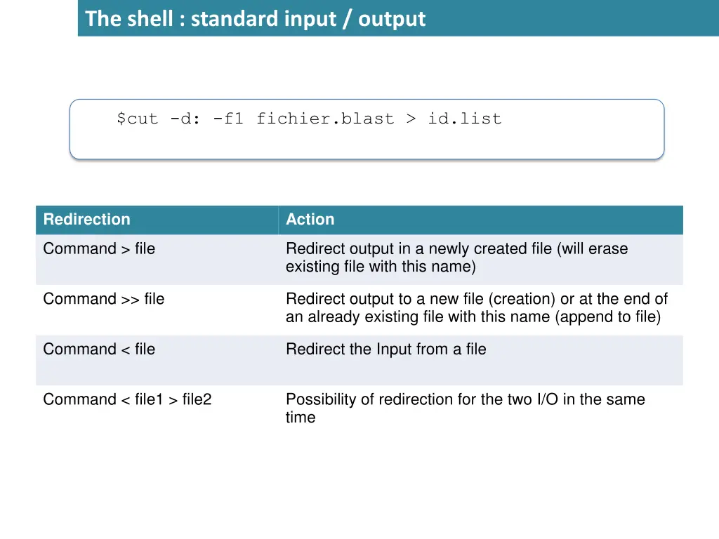 the shell standard input output 1