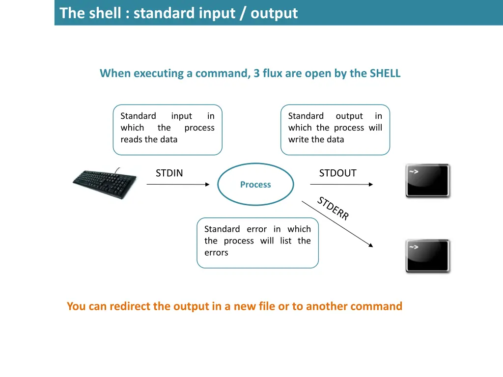 the shell standard input output