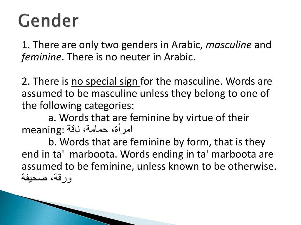 1 there are only two genders in arabic masculine