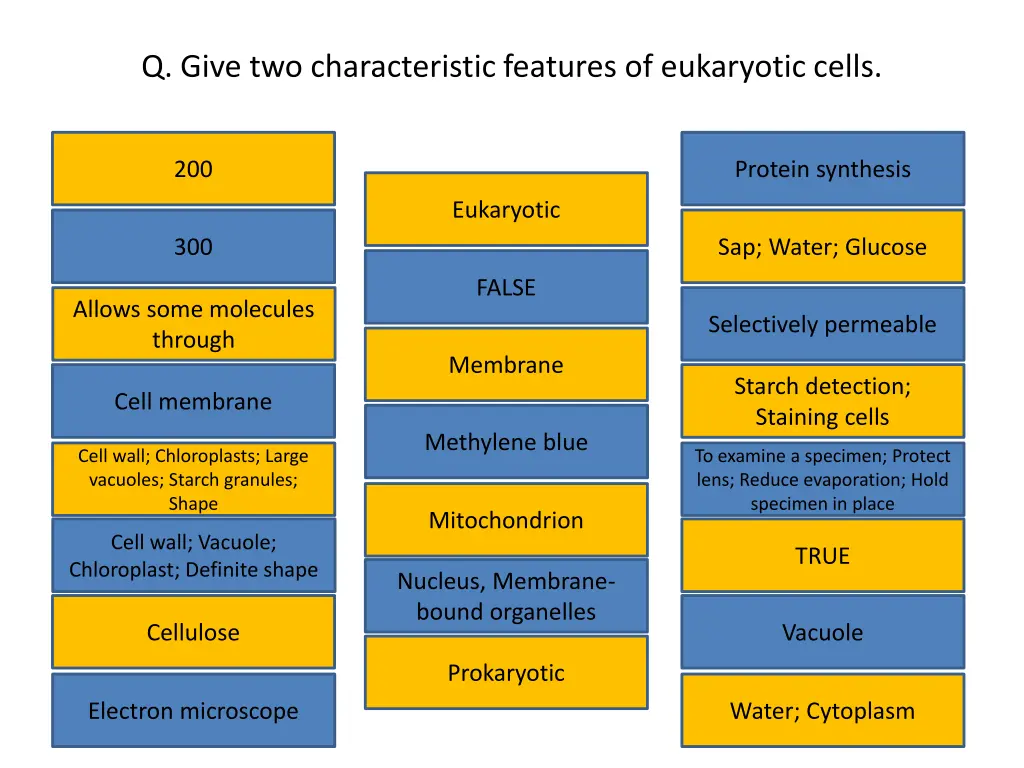 q give two characteristic features of eukaryotic