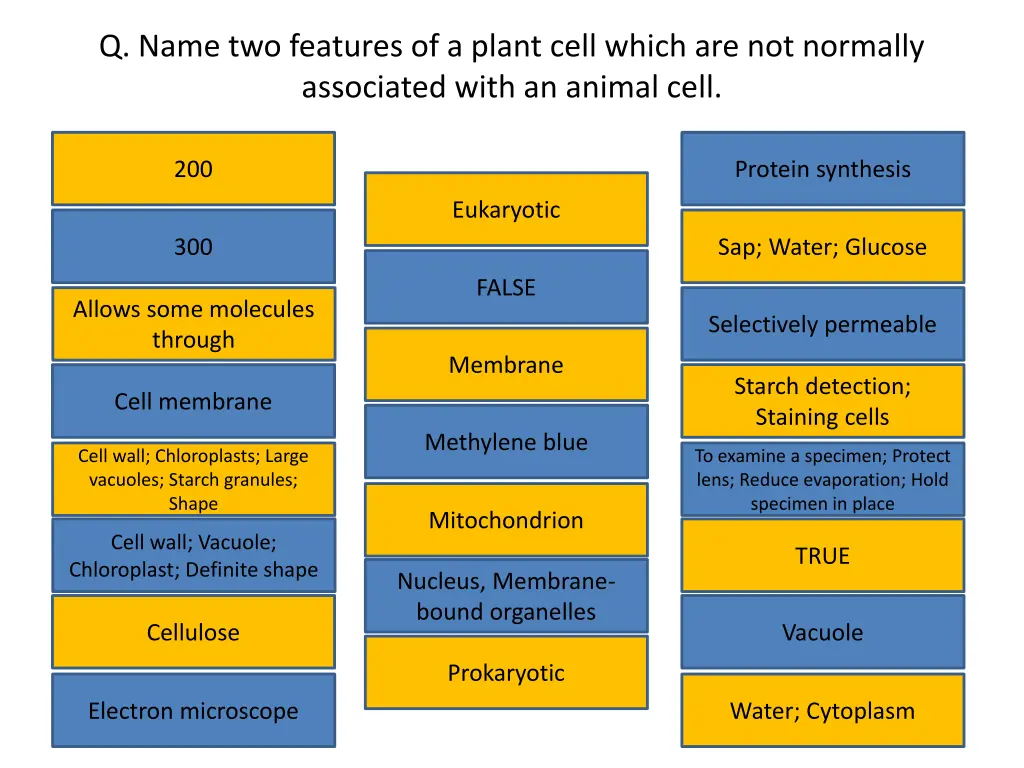 q name two features of a plant cell which