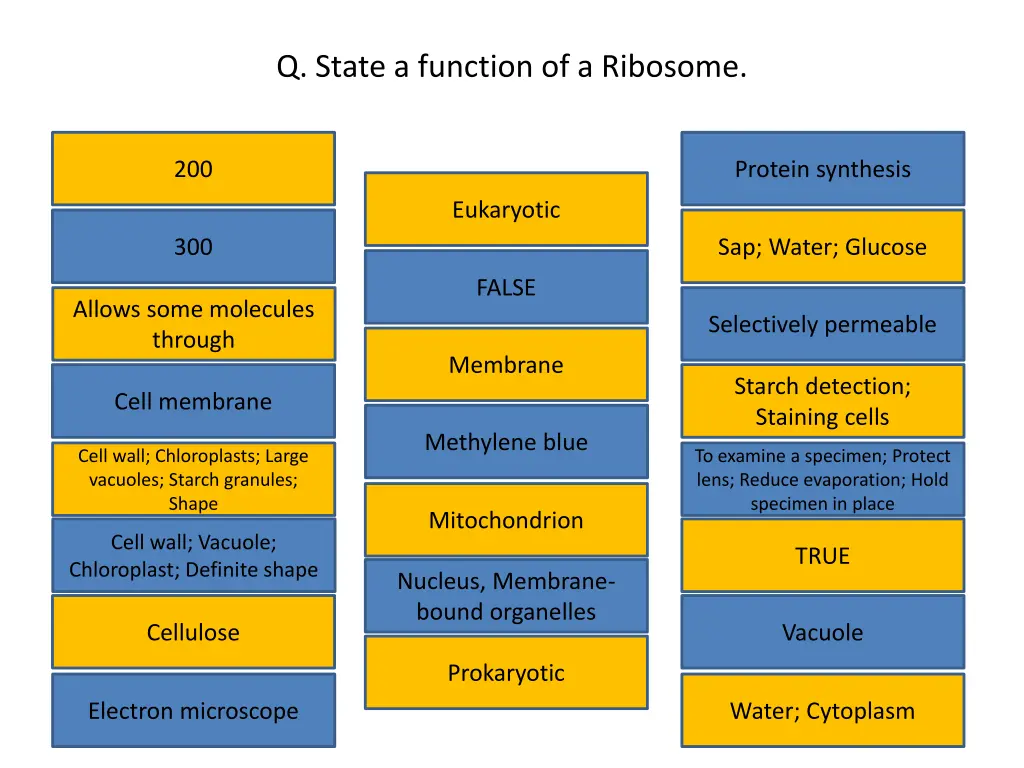 q state a function of a ribosome