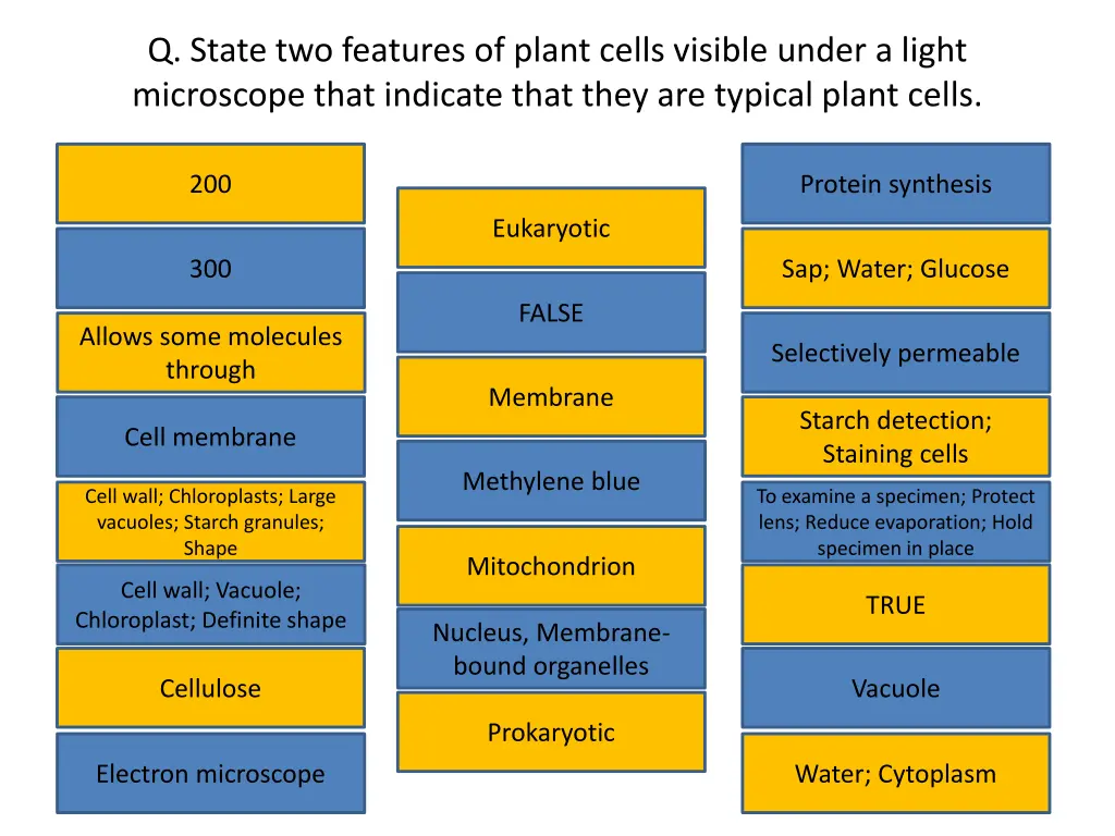 q state two features of plant cells visible under