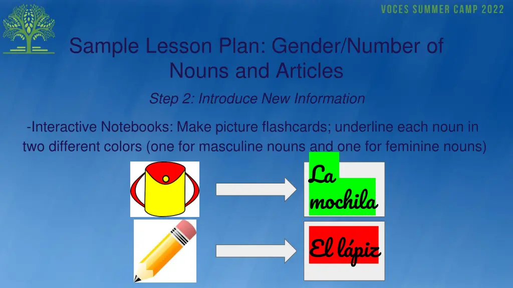 sample lesson plan gender number of nouns 1