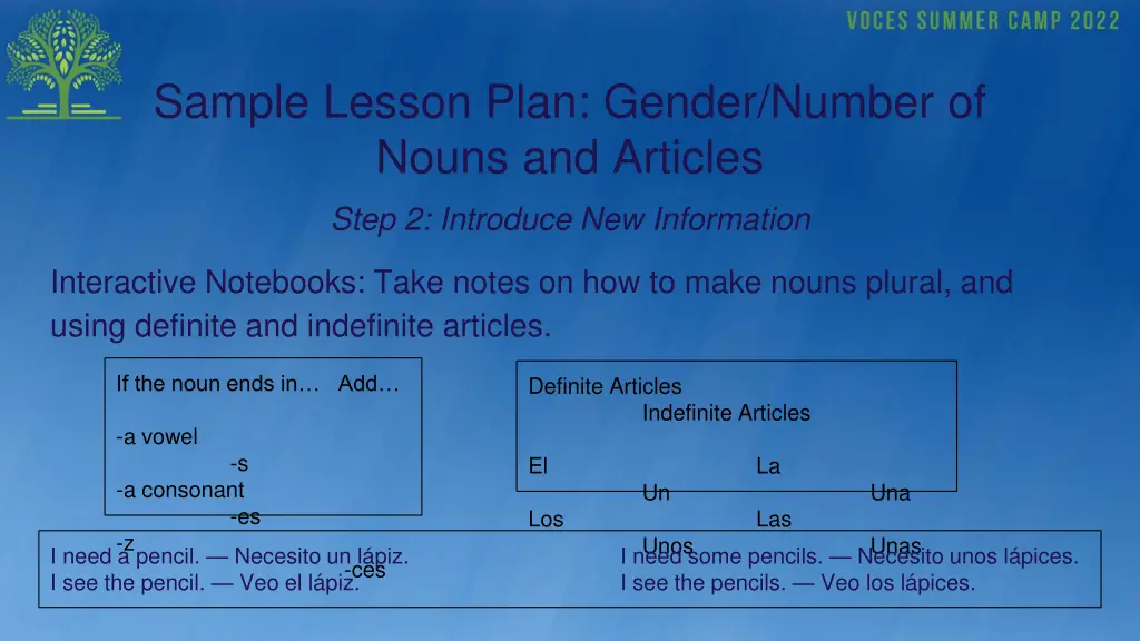 sample lesson plan gender number of nouns 2