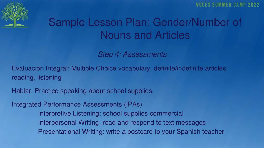 sample lesson plan gender number of nouns 4