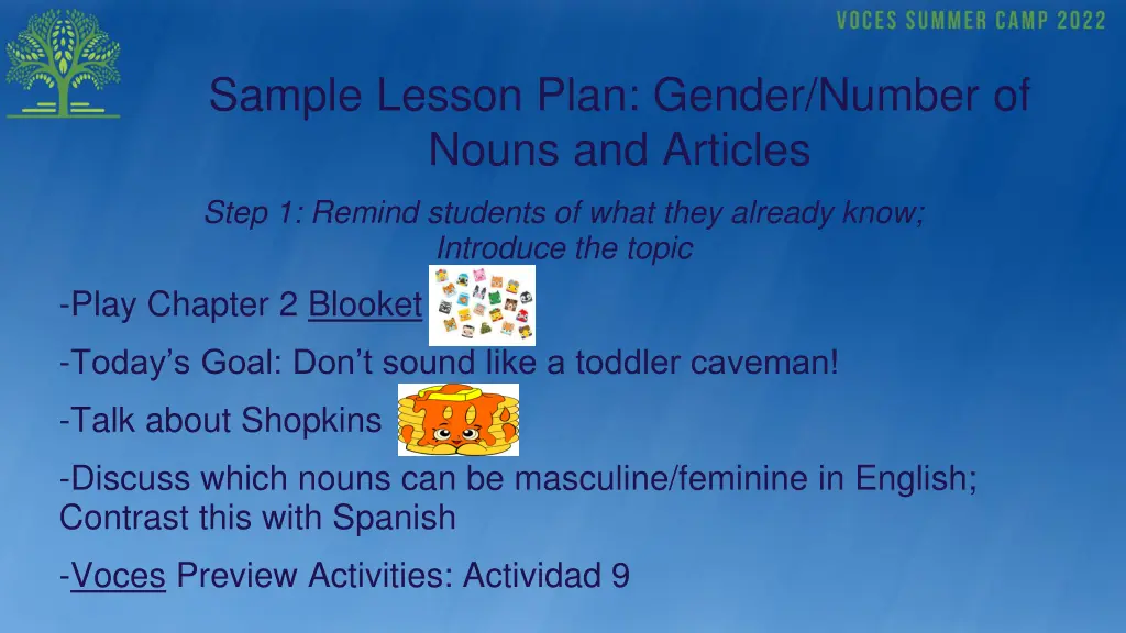 sample lesson plan gender number of nouns