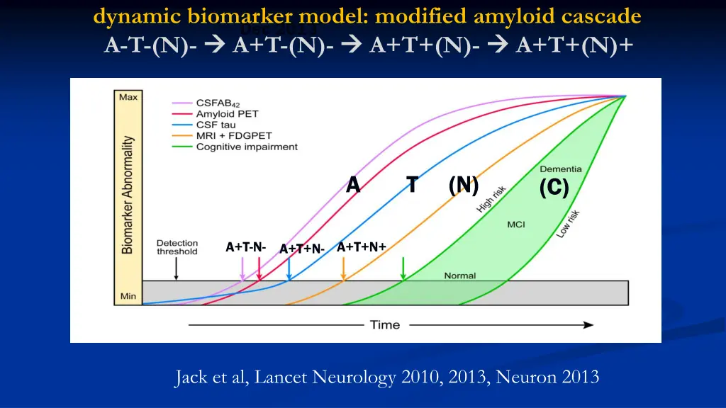 dynamic biomarker model modified amyloid cascade