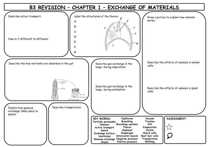 b3 revision chapter 1 exchange of materials