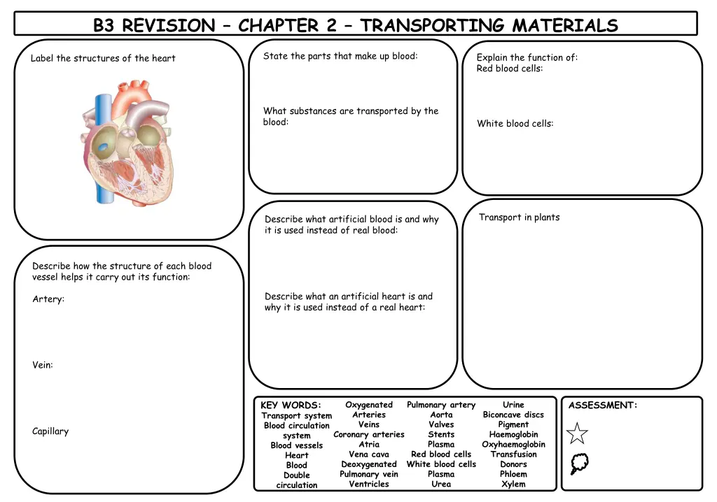 b3 revision chapter 2 transporting materials