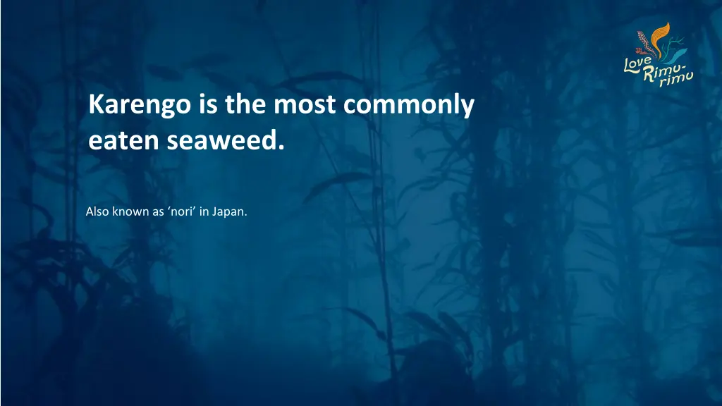 karengo is the most commonly eaten seaweed