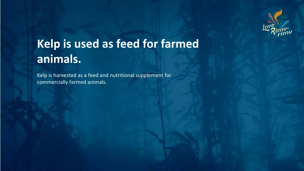 kelp is used as feed for farmed animals