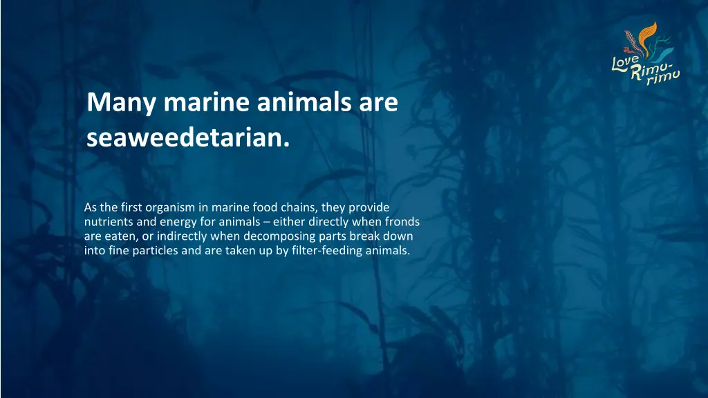 many marine animals are seaweedetarian