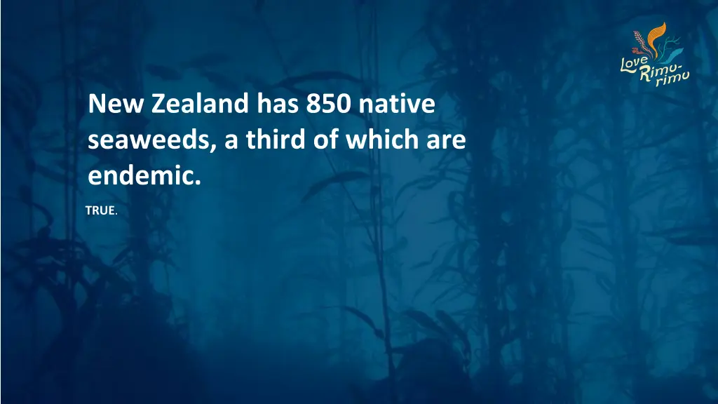 new zealand has 850 native seaweeds a third