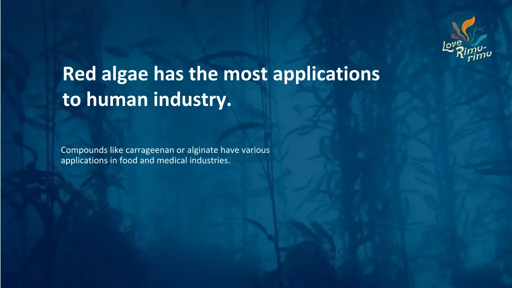 red algae has the most applications to human