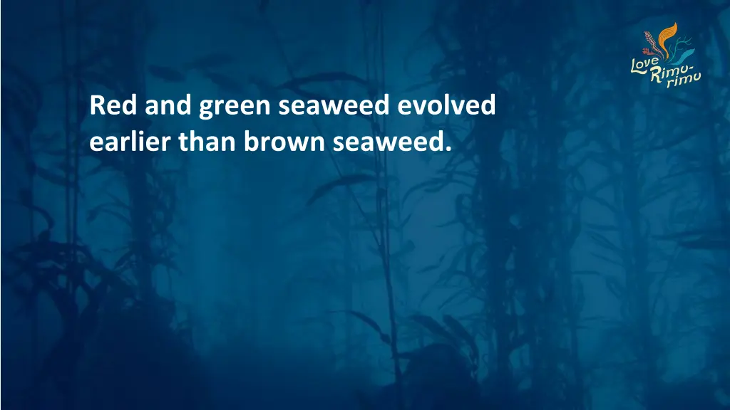 red and green seaweed evolved earlier than brown