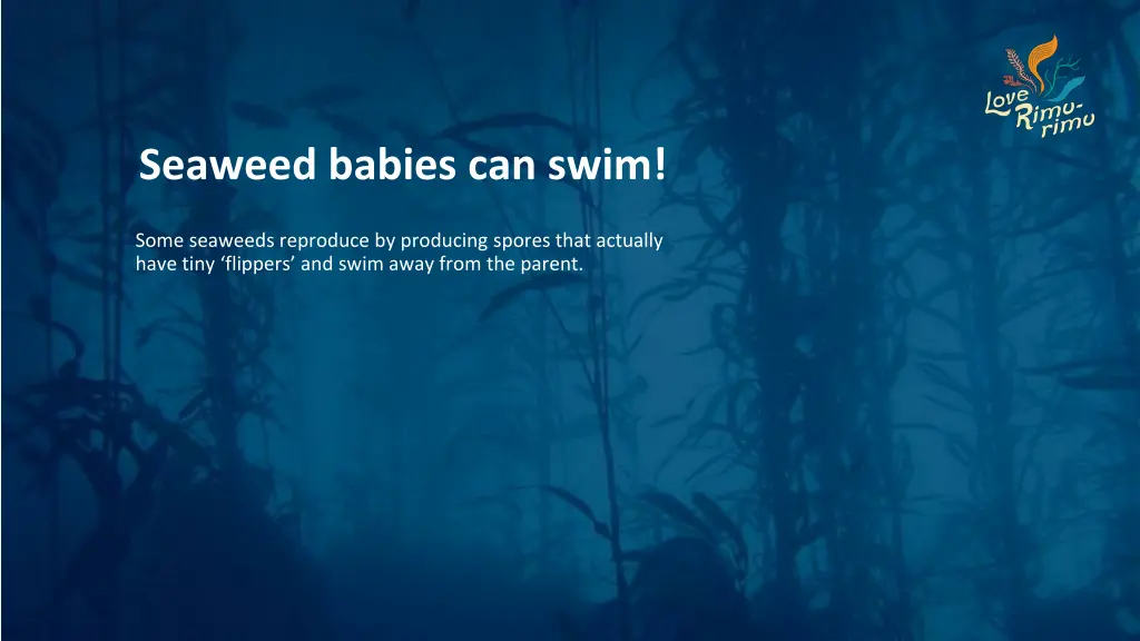 seaweed babies can swim