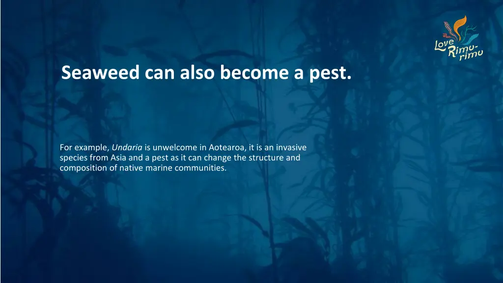 seaweed can also become a pest