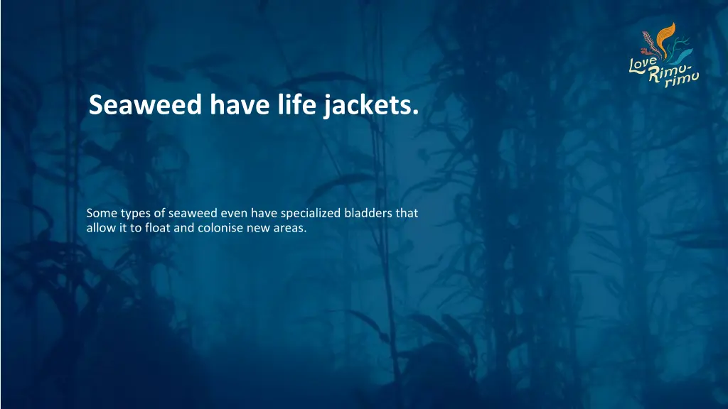 seaweed have life jackets