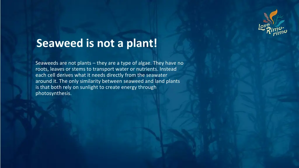 seaweed is not a plant