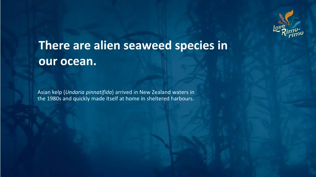 there are alien seaweed species in our ocean