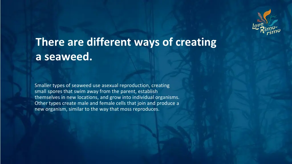 there are different ways of creating a seaweed