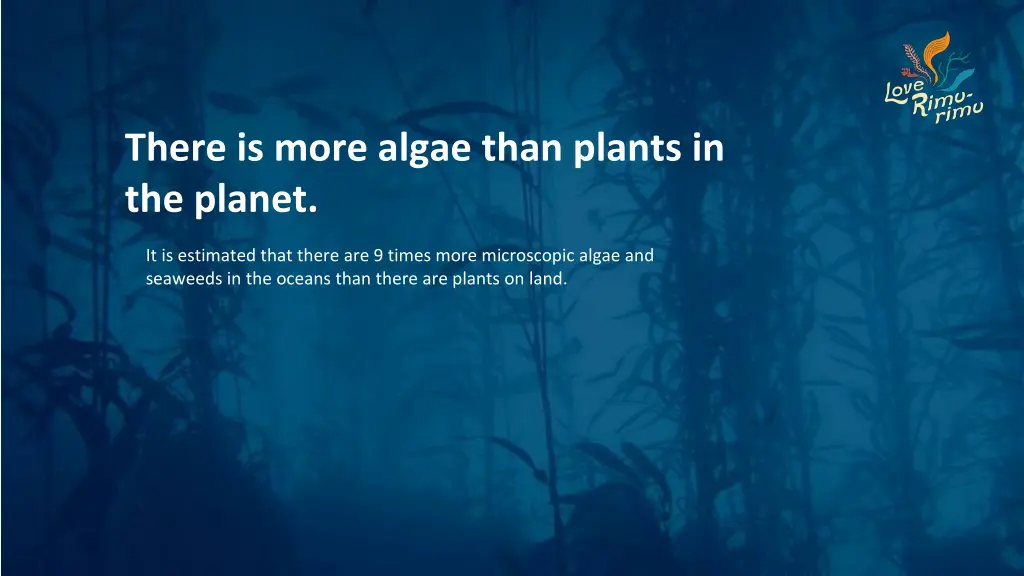 there is more algae than plants in the planet