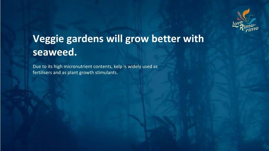 veggie gardens will grow better with seaweed