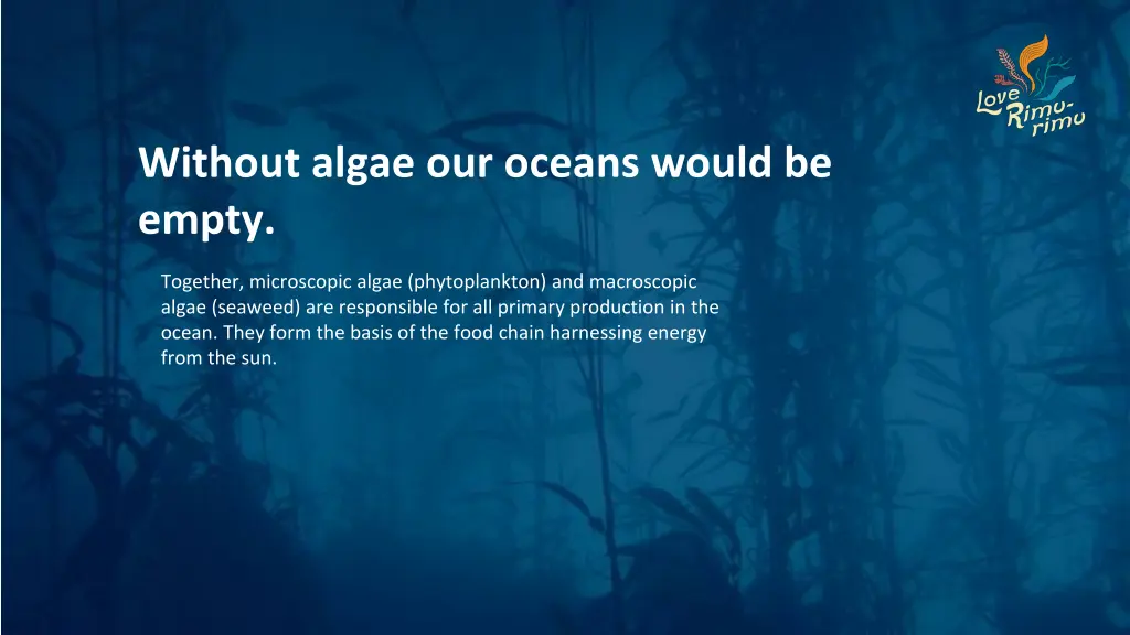 without algae our oceans would be empty