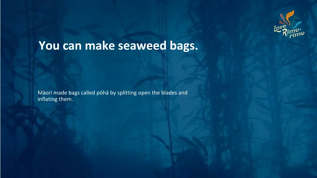 you can make seaweed bags