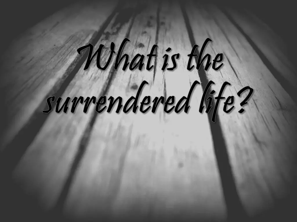 what is the what is the surrendered life