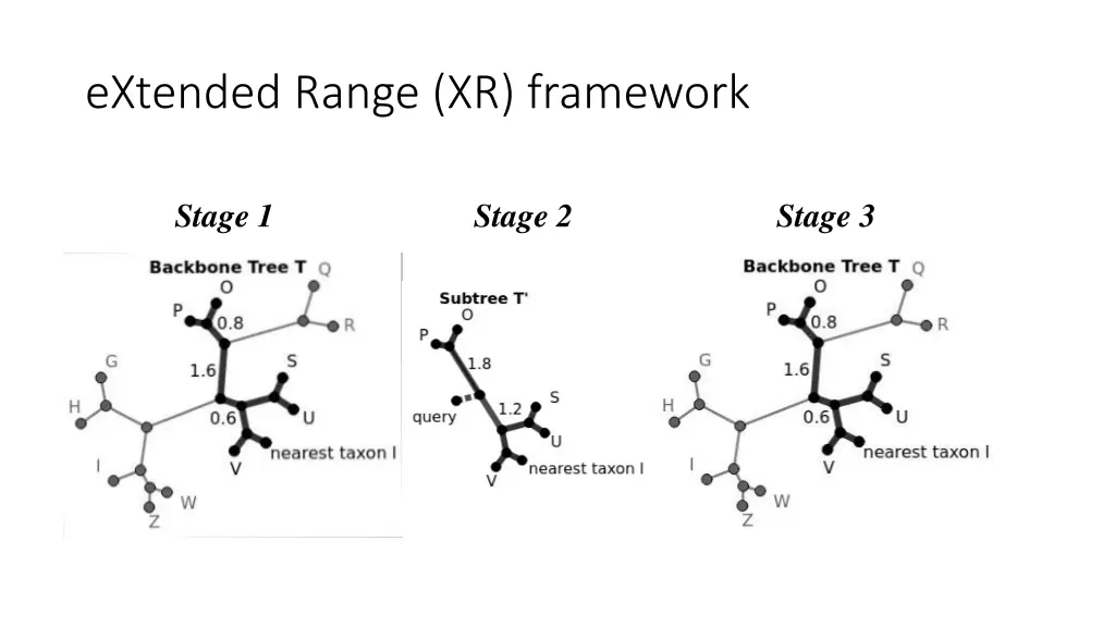 extended range xr framework