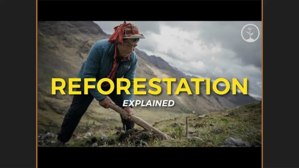 reforestation explained subscribe to one tree