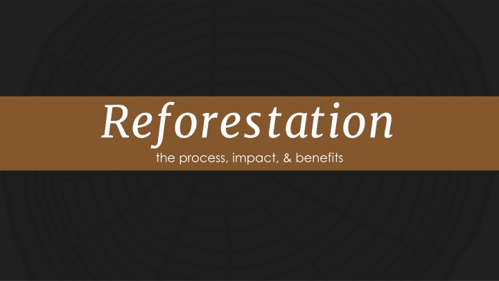 reforestation the process impact benefits