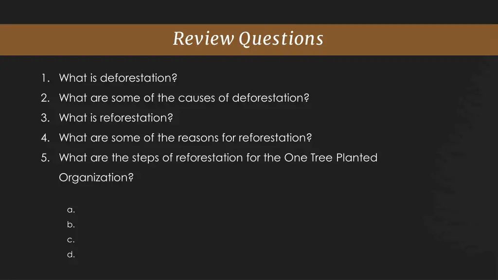 review questions