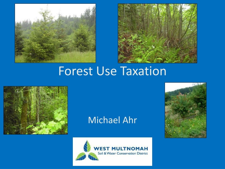 forest use taxation